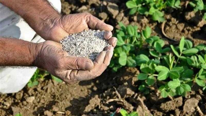 الزراعة: توقف إمدادات الغاز أثر بالسلب على كمية الأسمدة المصنعة